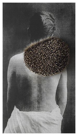 back/zur&uuml;ck