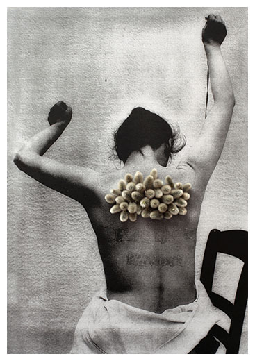 back/zur&uuml;ck
